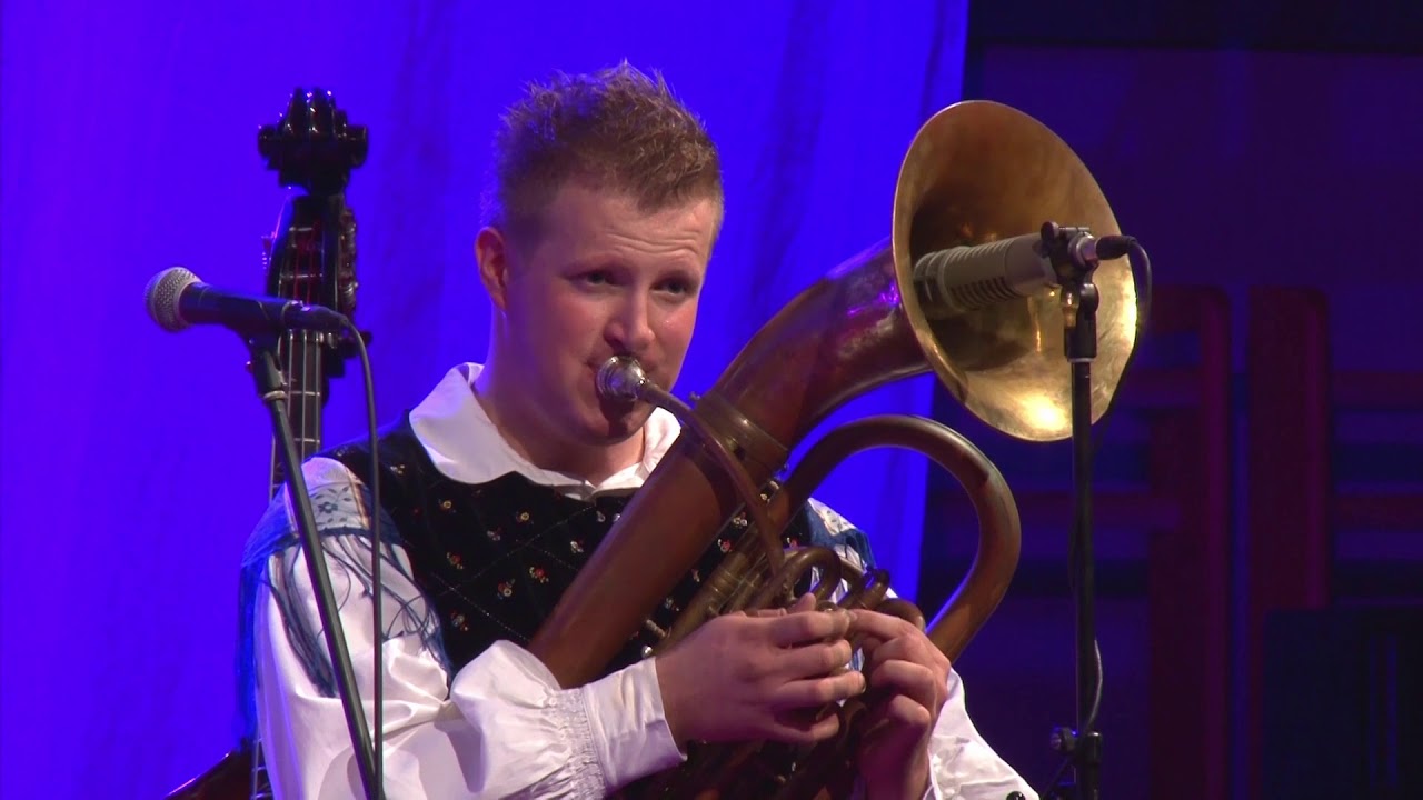 Trio Šubic in Franc Mihelič - Razposajena harmonika (10 Čarobnih let Tria Šubic z gosti )