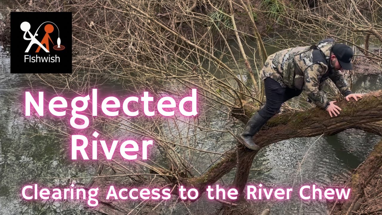 Opening up the River Chew