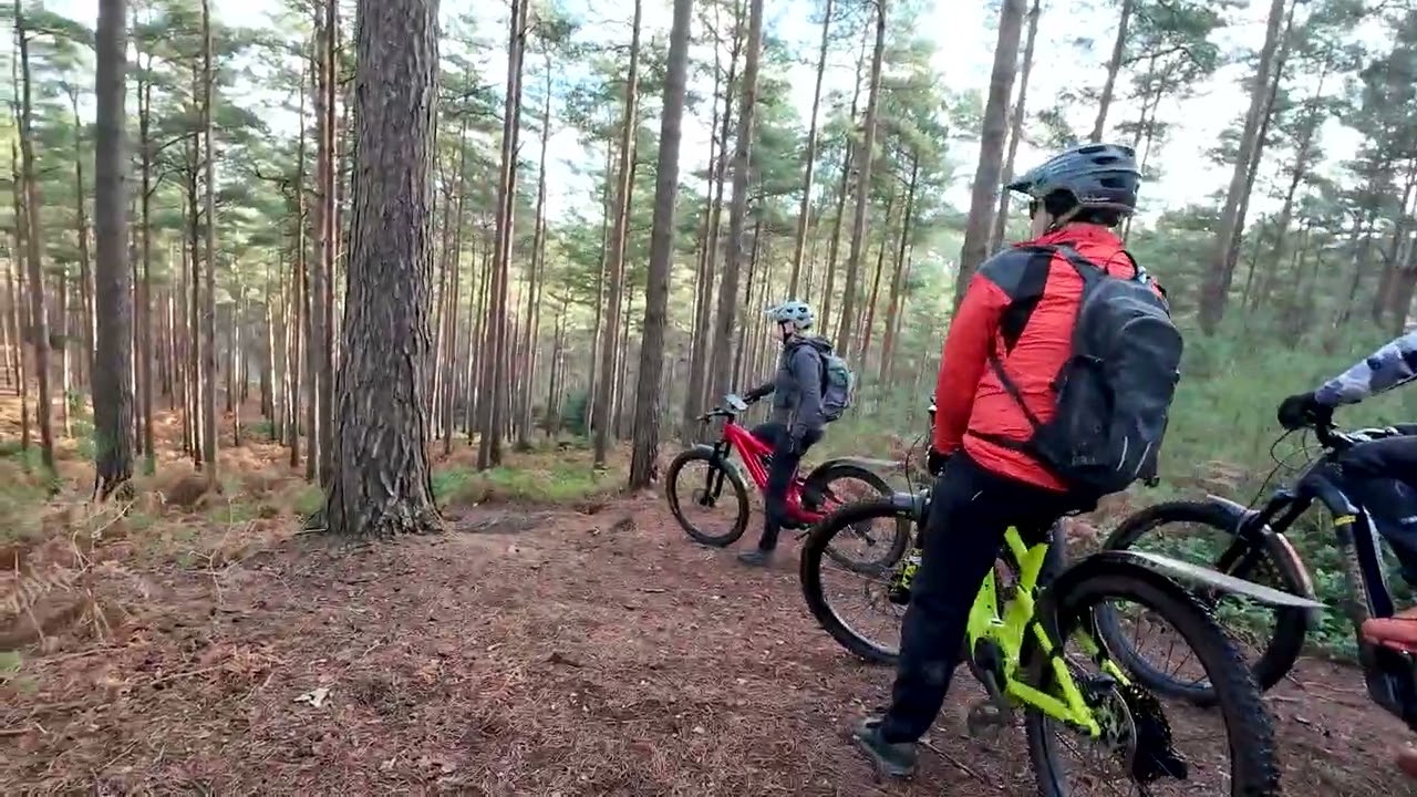 Surrey Heathlands 12 Dec 2025