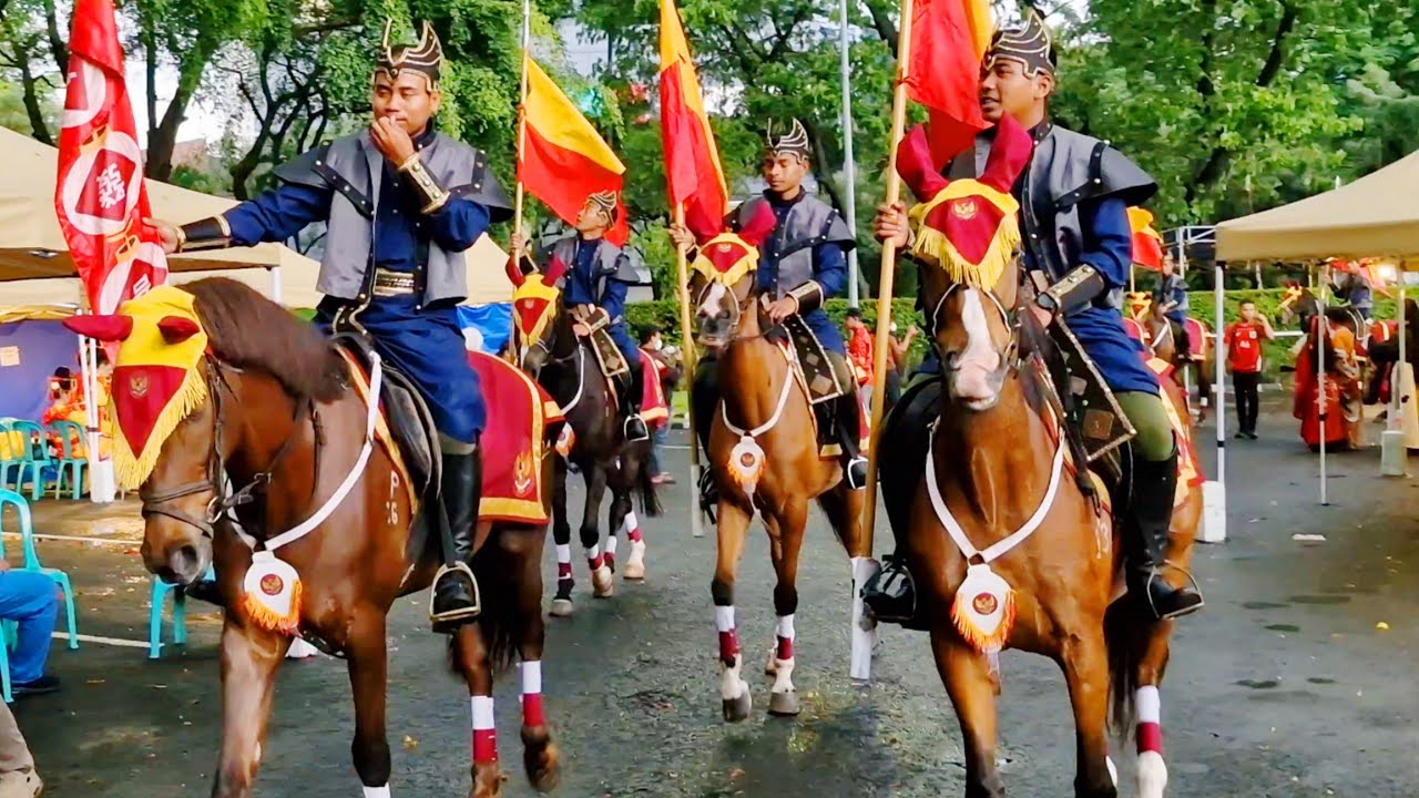 Naik Kuda Besar - Kuda Putih - Kuda Sholawatan Rahmatan Lil Alamiin #kudadelman #kuda #delman #horse