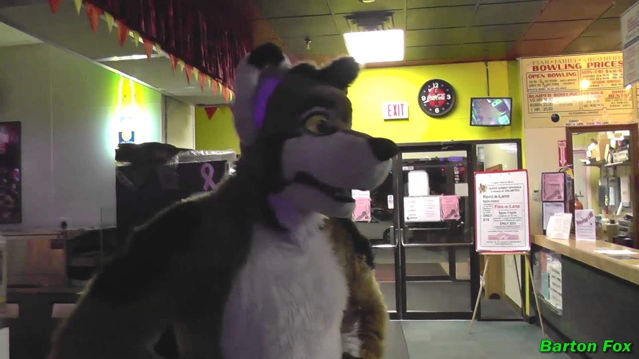 Mass FurBowl #22 - Random Clips