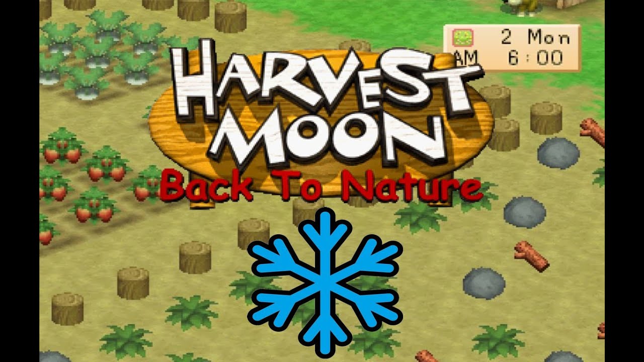 Harvest Moon : Back To Nature (Winter Theme)