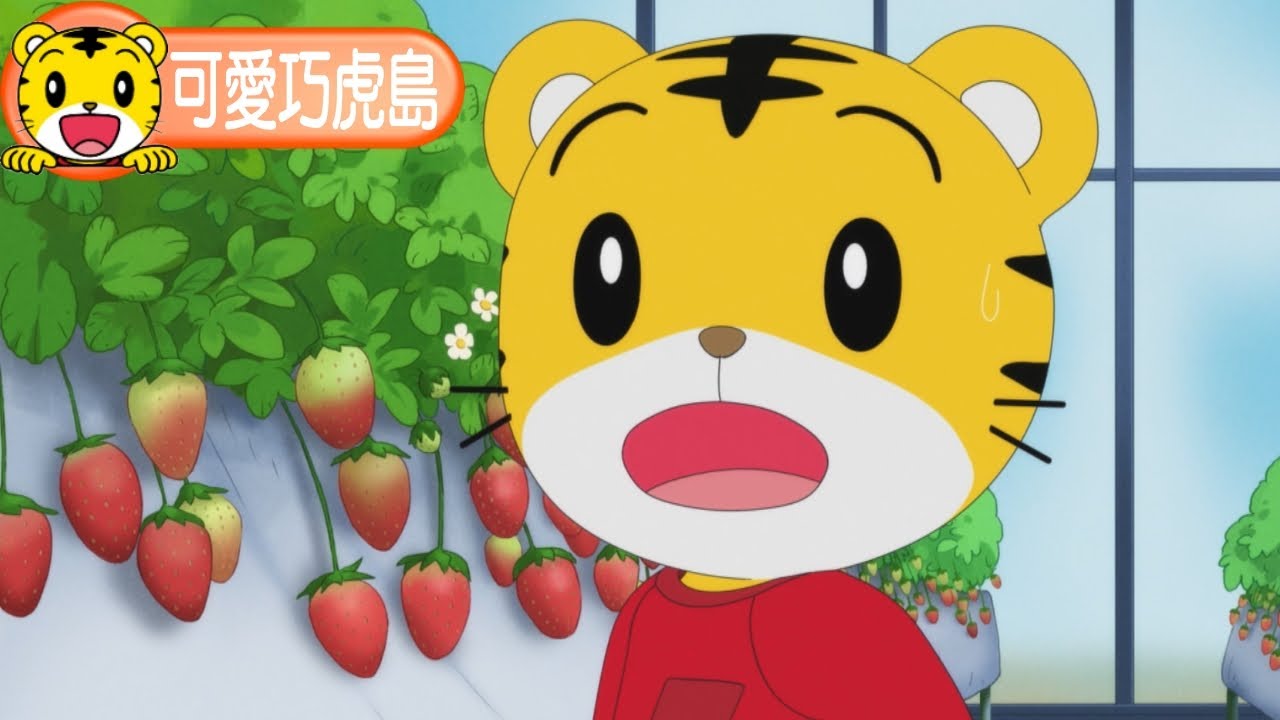 第12季【可愛巧虎島】快樂採草莓去  #動畫 #卡通 #育兒 #親子生活