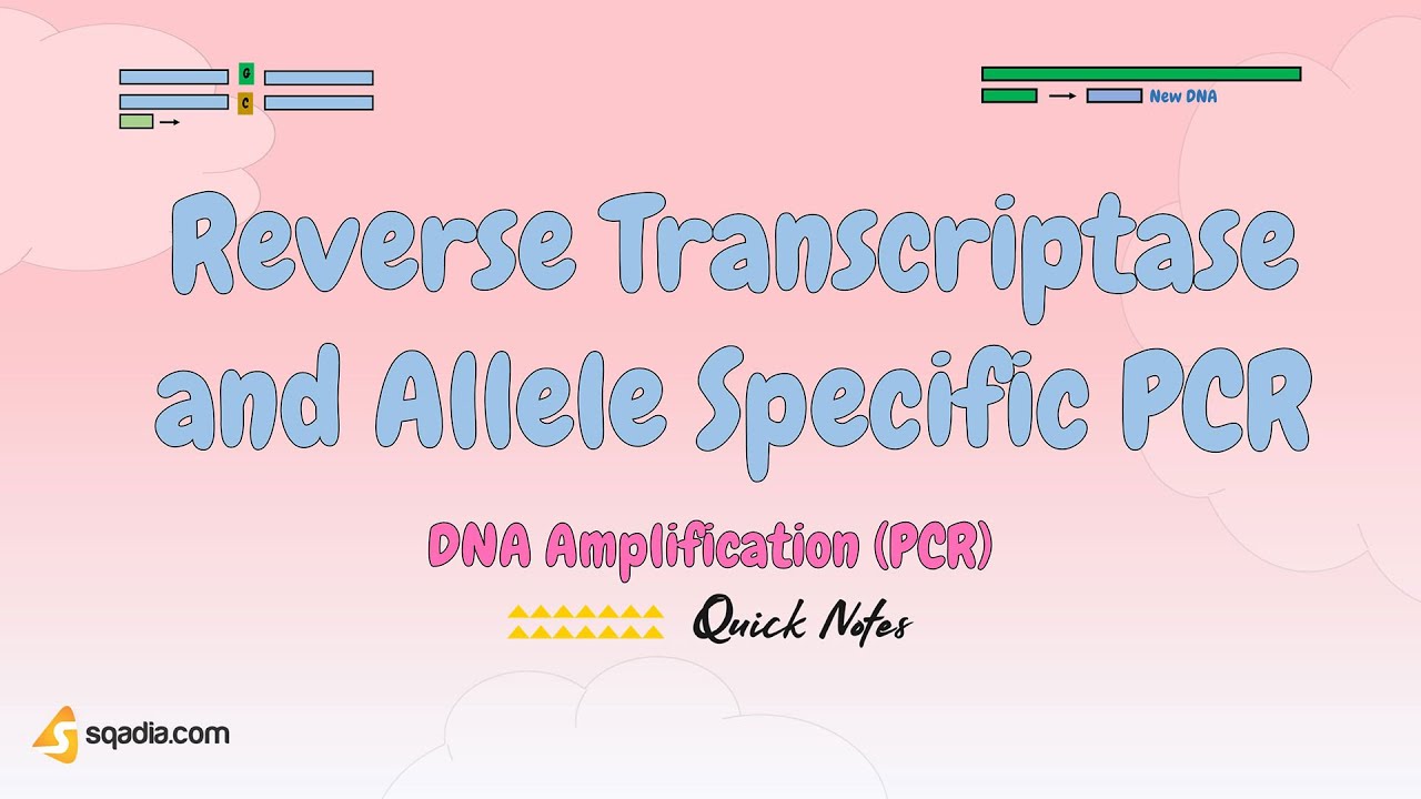 DNA Amplification (PCR) | Reverse Transcriptase and Allele Specific PCR | Medical Genetics