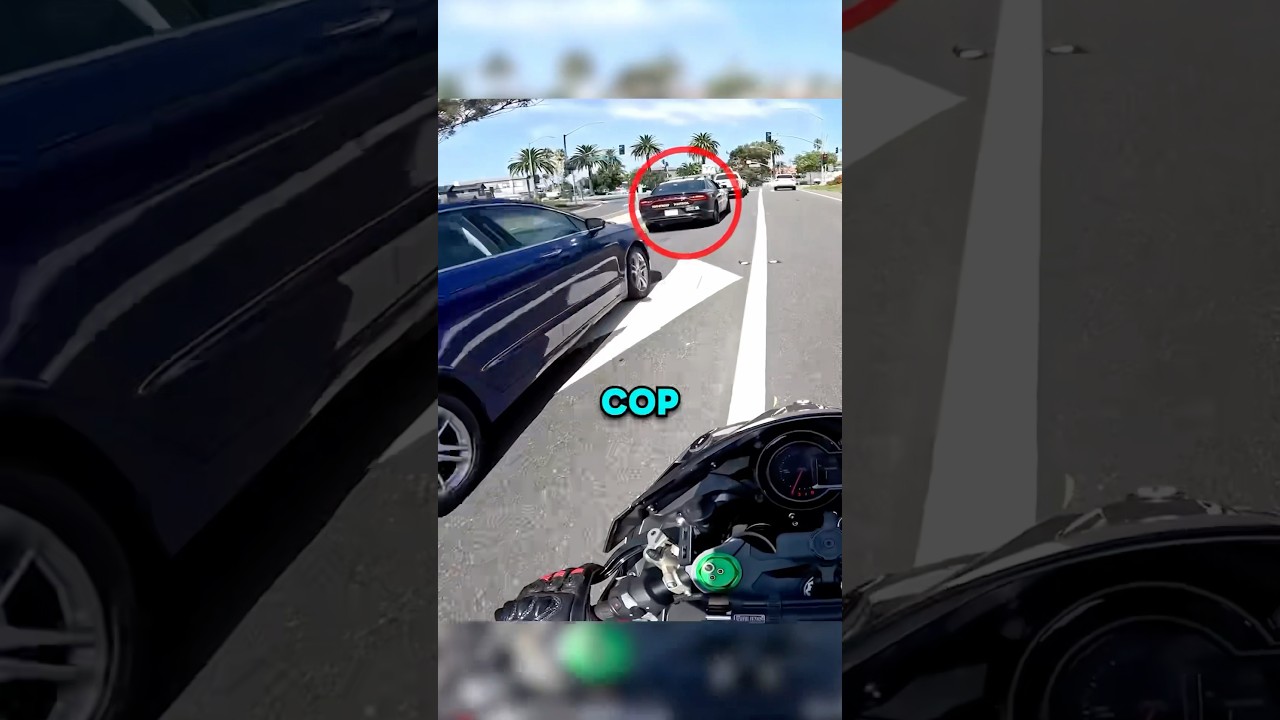 Cop Catches Biker With Fake Plates! 😨