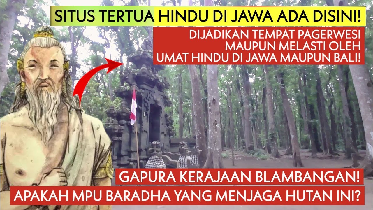 ALAS PURWO! Hutan Terangker di Jawa ini digunakan Tempat Pagerwesi dan Upacara Melasti Umat Hindu!