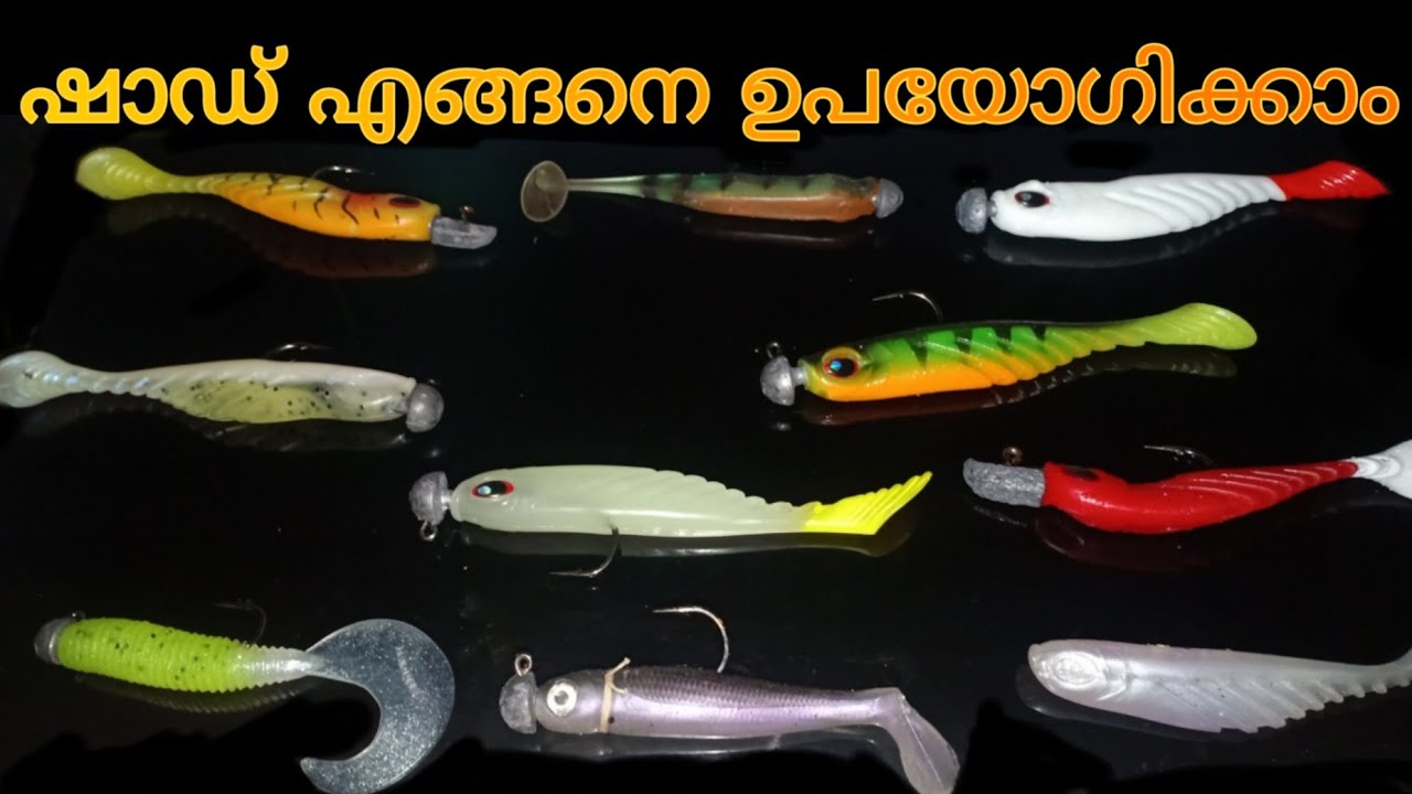 ഷാഡ് എങ്ങനെ ഉപയോഗിക്കാം| How to use shads | Soft lures|