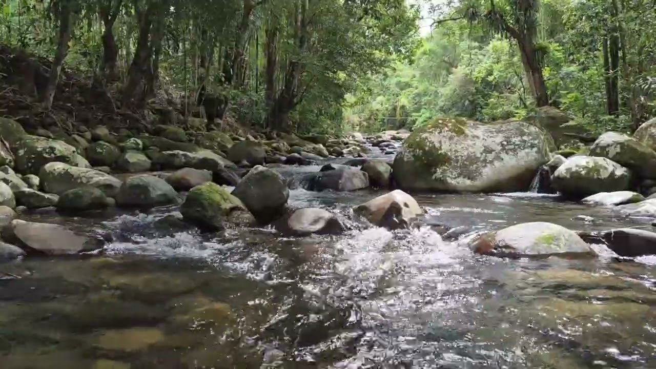 Água Corrente na Natureza | Som de Rio Tranquilo para Sono Profundo | 2 Horas