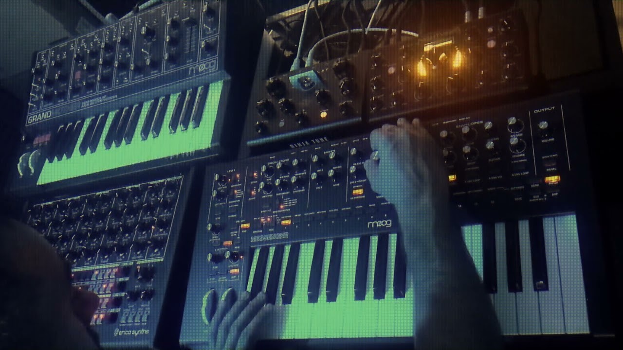 Moog Messenger + Erica Synths Zen Delay, Nightverb and Perkons HD-01 - DEMO / 1st Patch /Acid Techno