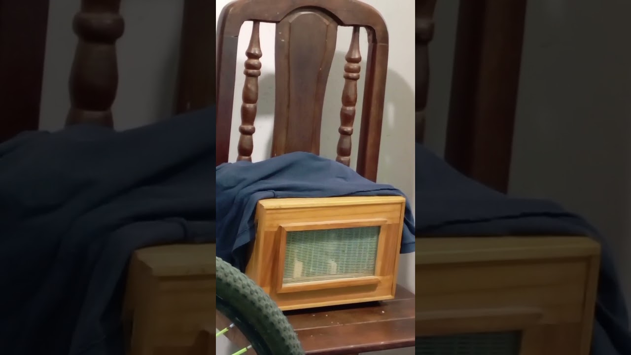 El campeón🏆 no me está cerrando 💤🎼