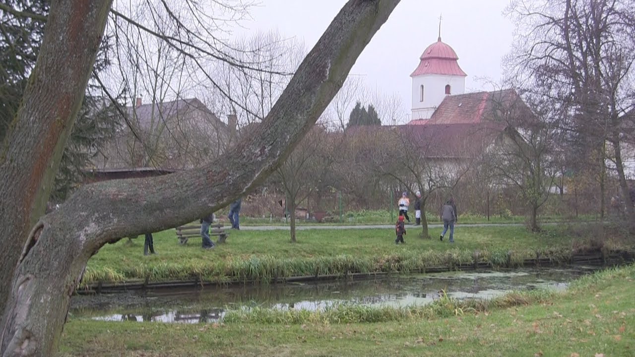 Výlov albrechtického brouzdaliště 18. 11. 2017