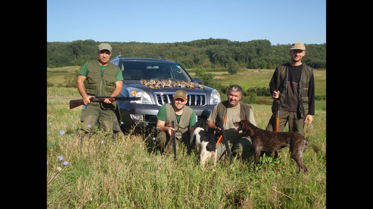 Lov i ribolov - Lov na prepelice - Vrčin