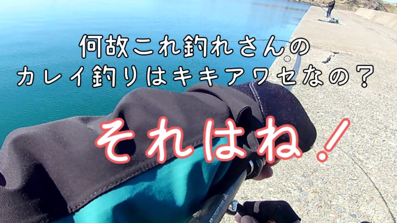 【ブラーゲーム】魚の気持ちを想像するｗ【聞き合わせ】クロガシラカレイ　遊動式　
