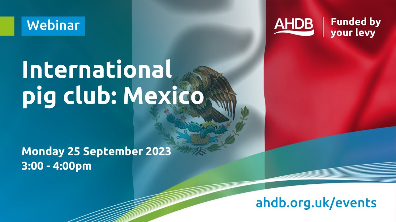 International Pig Club: Mexico | AHDB