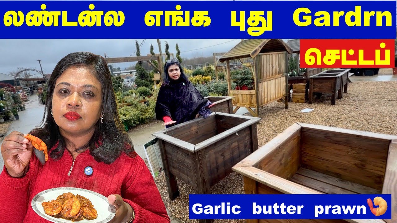 கதறும் UK அரசு Epstein files/Our new garden setup plan with செம்மையான garlic butter 🍤 prawn 