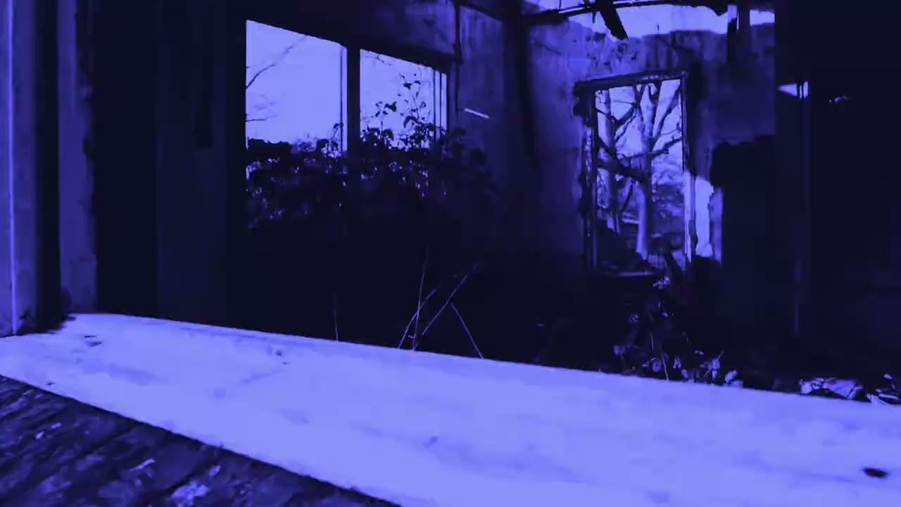Walk The Nite - Memory (Official Visualizer)