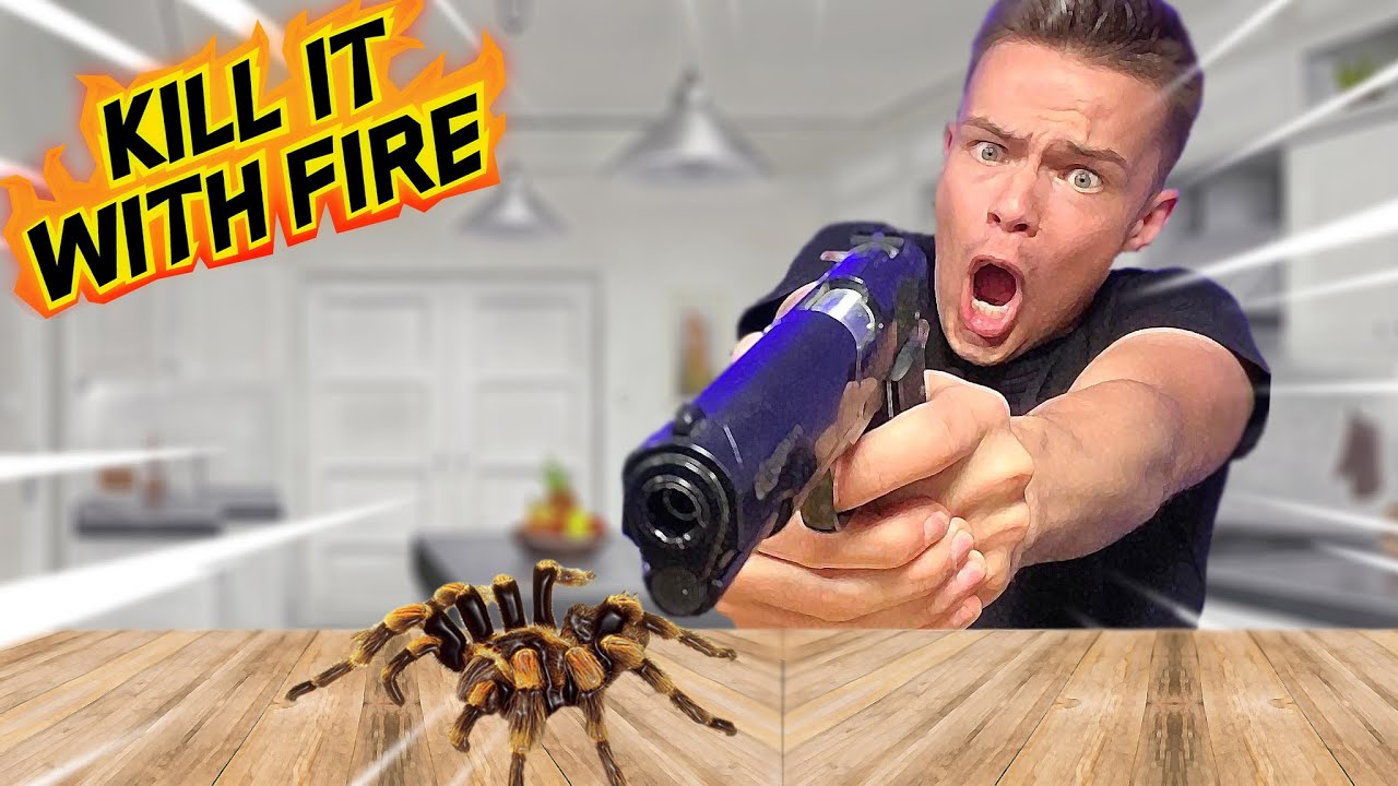 MINULE LOODUD MÄNG! (Kill It With Fire)