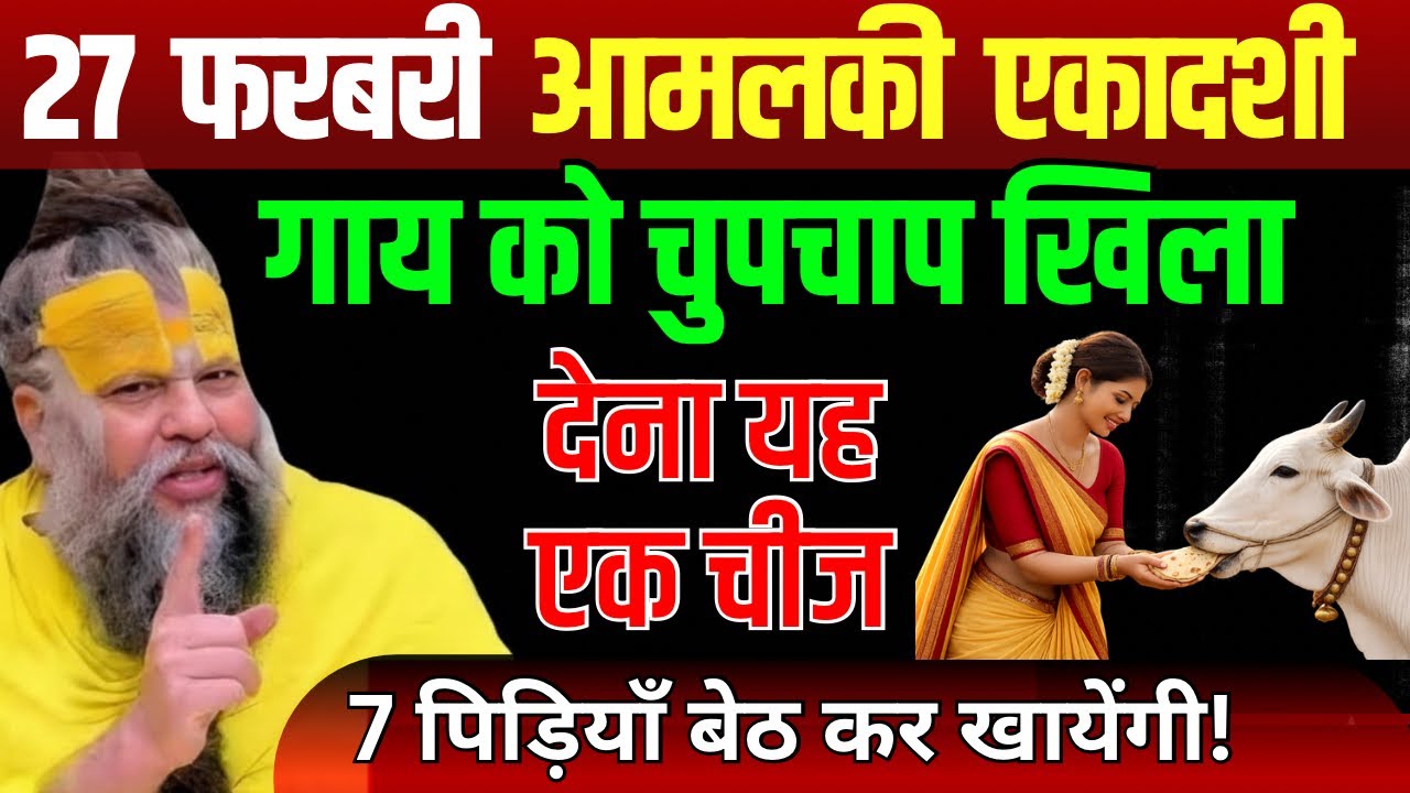 27 फरवरी आमलकी एकादशी , गाय को चुपचाप खिलाएं ये 1 चीज | 7 पीढ़ियों का कल्याण 