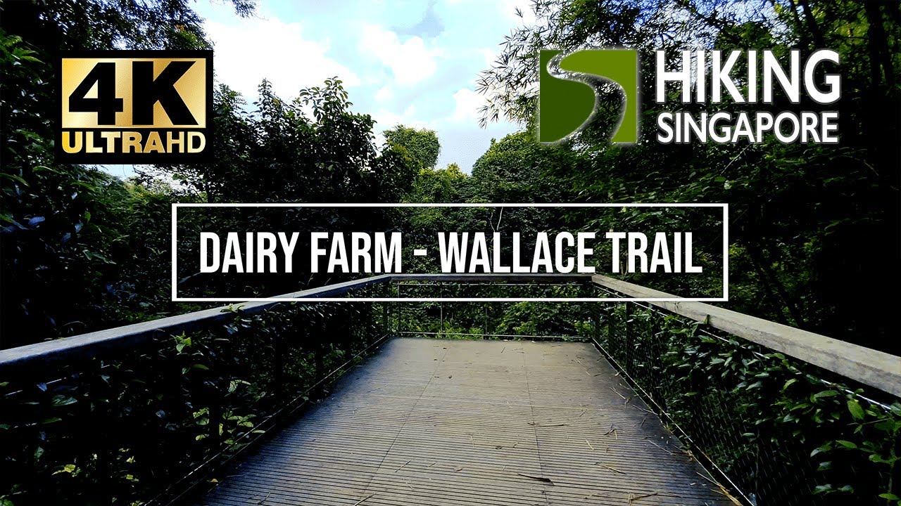 Wallace Trail at Dairy Farm Park(2021 version) - Hiking Singapore [4K] [HDR]