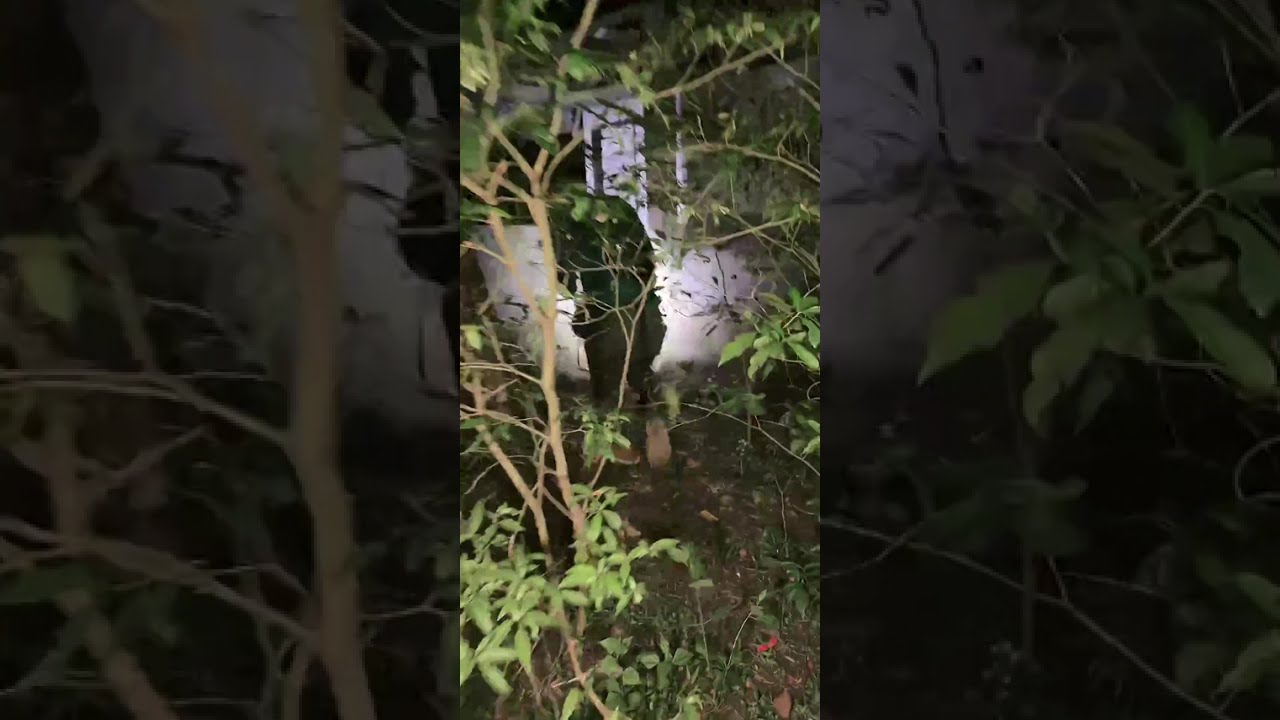 🔴 Explore Bangunan Hantu Gunung Gorontalo | Sang Adipati