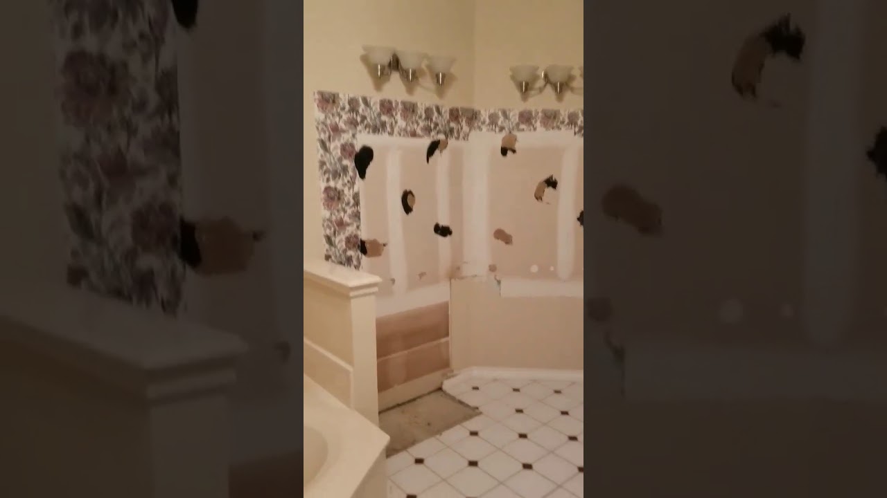 Remodel Project - Day #2 2017 Keller, TX