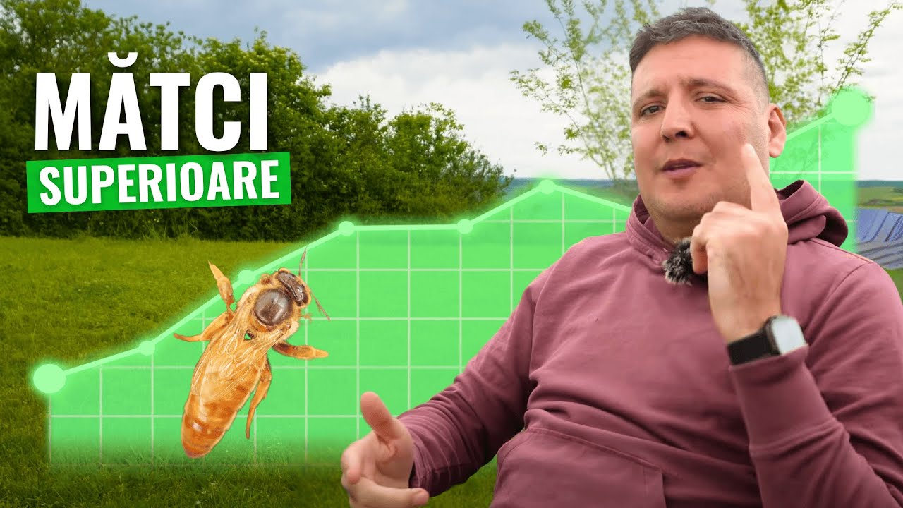 Crești Mătci de Calitate Superioară? Cum începem?