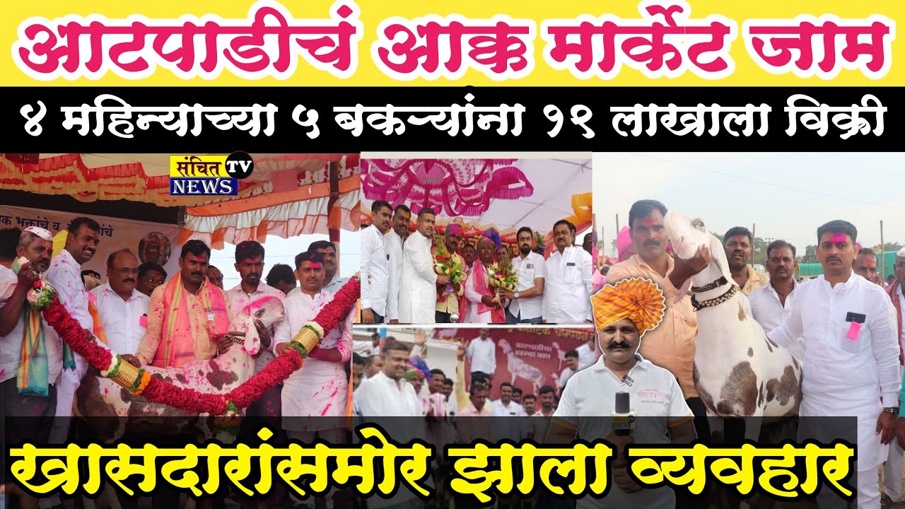 माडग्याळ बकरी बघायला आक्क मार्केट जाम | आटपाडी बाजारात 5 बकरी 19 लाखाला | खासदार आले व्यवहार बघायला