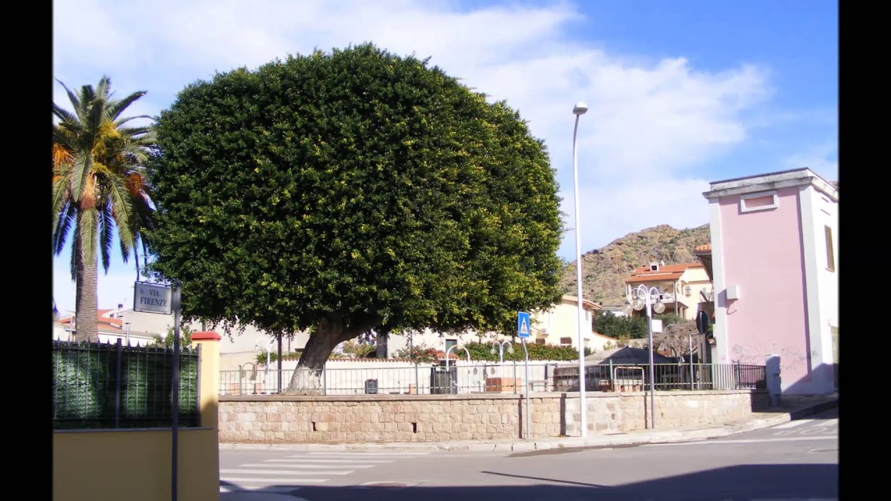 MONASTIR  (Sardegna Italy)-(1° Video)