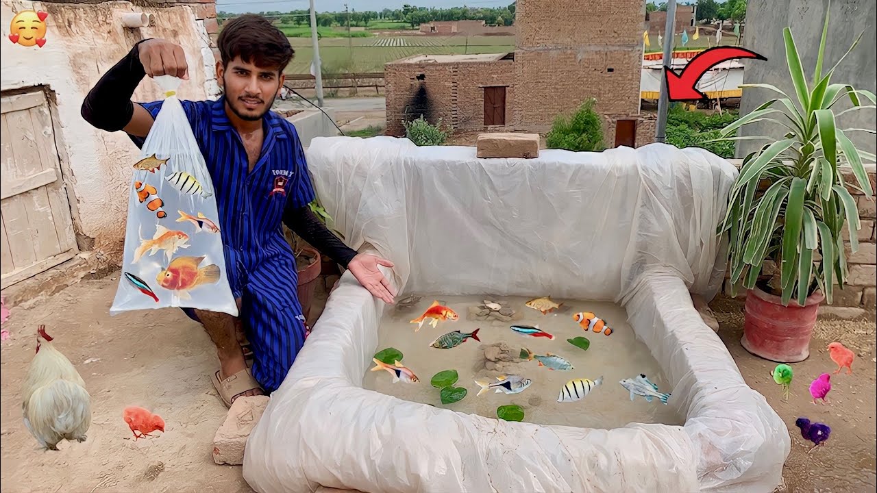 Aj Hum Ny Fish Fountain Bna Dia😍|| How To Make  Fish Fountain|| Hammad pet house