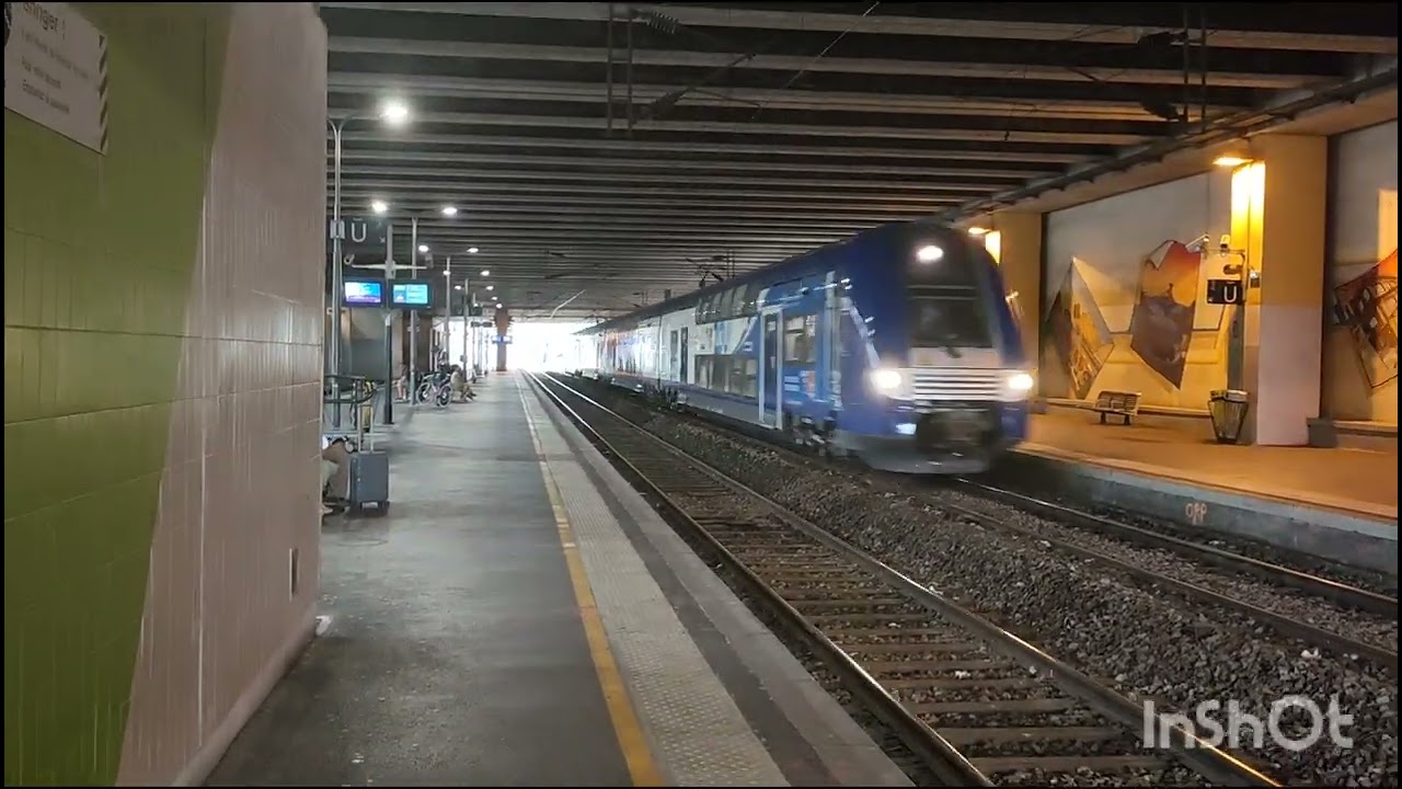 Saint-Raphaël Valescure : TER ZOU, TGV inOui,
