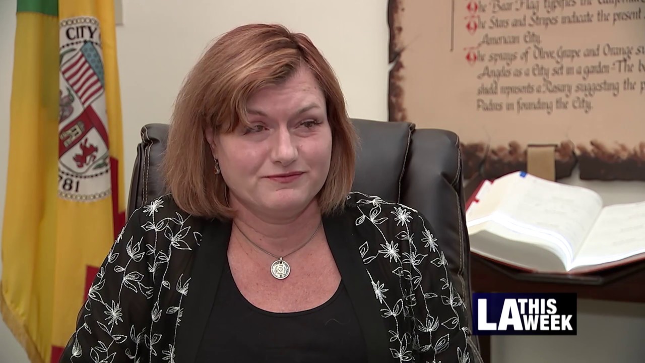 LA Considers Options for CD 12 Council Seat Replacement