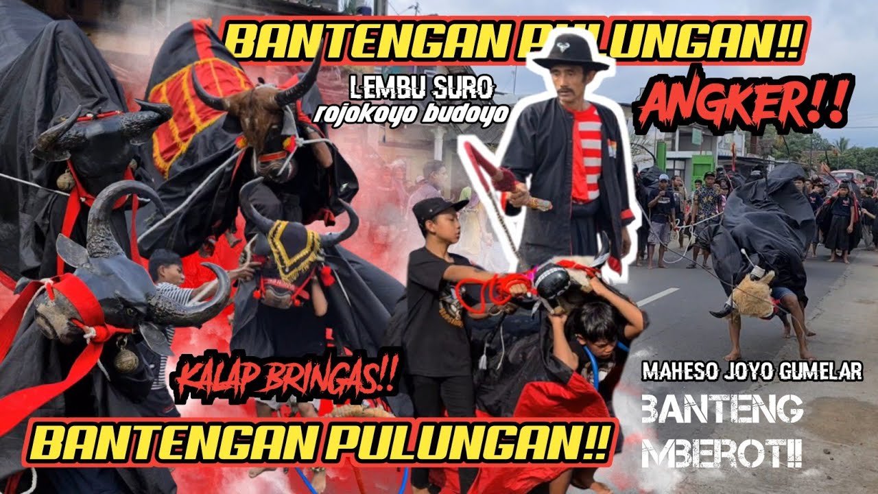 BANTENGAN demit lereng semeru ngamuk obrak abrik di desa pulungan!! pak miseri sampai turun gunung!!