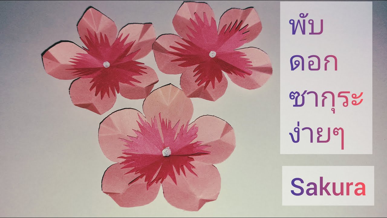 สอนพับดอกซากุระกระดาษแบบง่าย ๆ | ดอกไม้กระดาษ DIY น่ารัก สไตล์ญี่ปุ่น