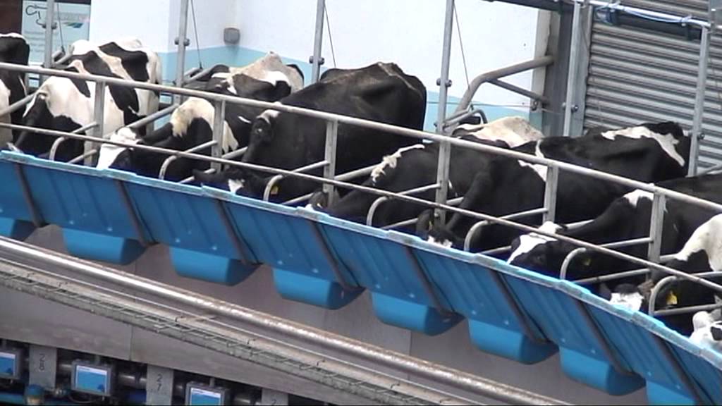 Fullwood Rotary Abreast Milking Parlour