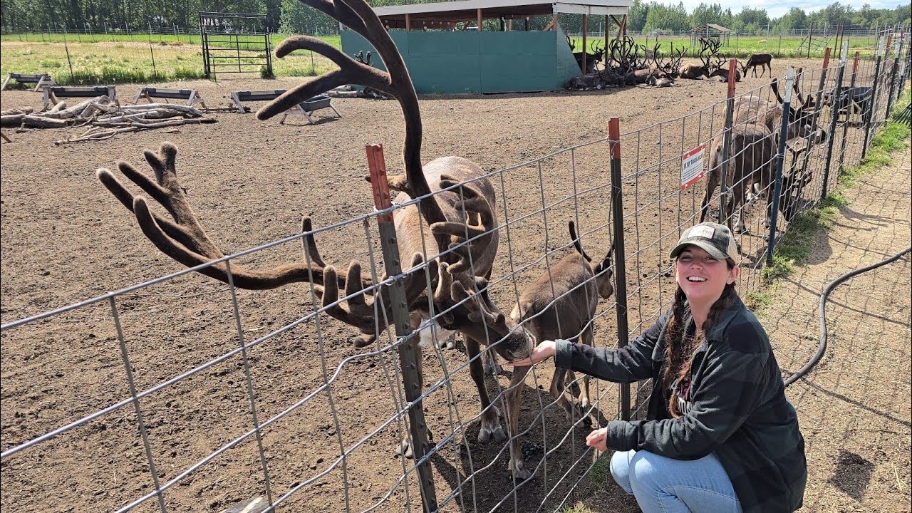 Santa's Reindeer Farm?! Interactive, Family Friendly Experience!