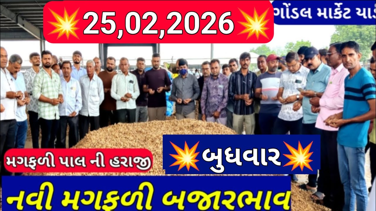 નવી મગફળીના બજાર ભાવ / ગોંડલ મગફળીના ભાવ / આજના મગફળીના ભાવ /25,02,2026