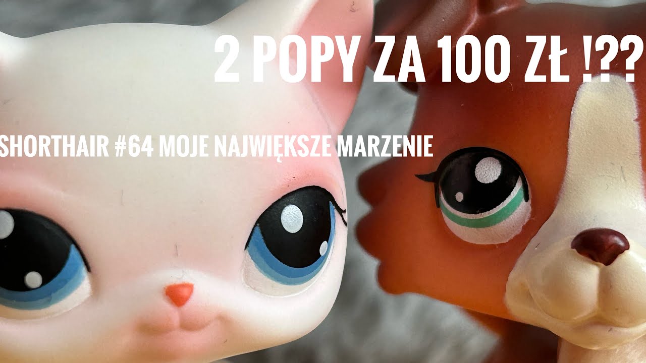Shopping #9 2 popy za 100 zł !?? Opłacało się ??