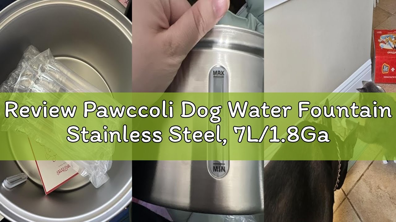 Review Pawccoli Dog Water Fountain Stainless Steel, 7L/1.8Gal Pet Fountain Water Bowl with Multi-Fil