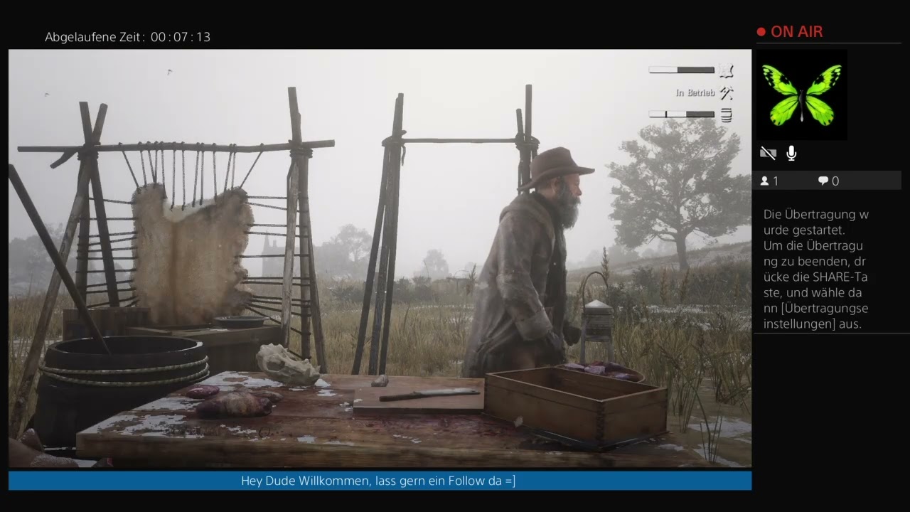 Red Dead Redemption 2 Online - Stream mit Truppmitglied