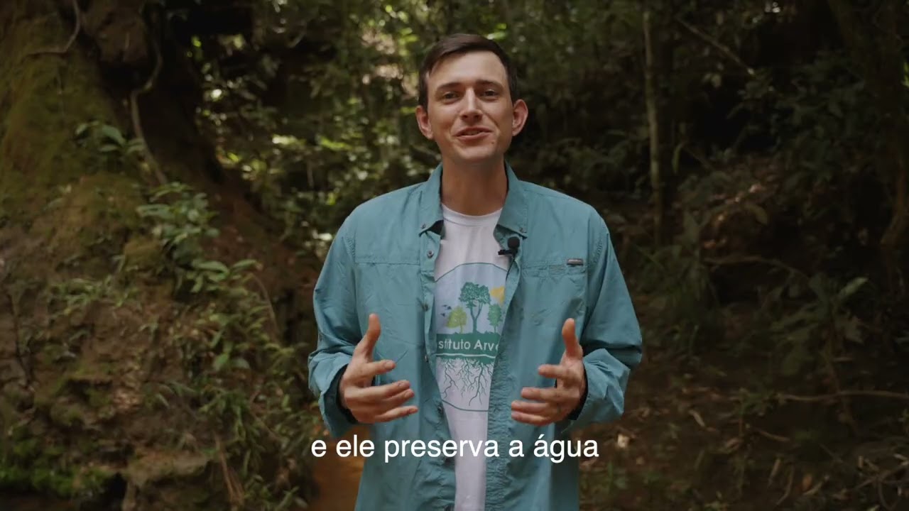 Veja o Impacto em Ação | Instituto Arvoredo
