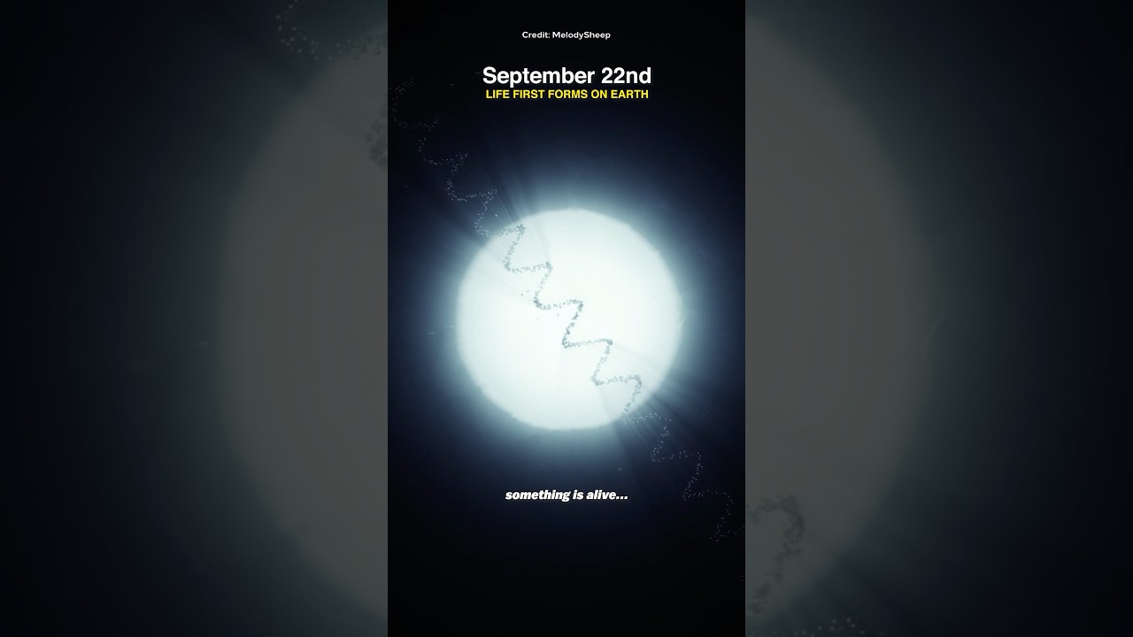 The Entire History of The Universe in 1 Year!