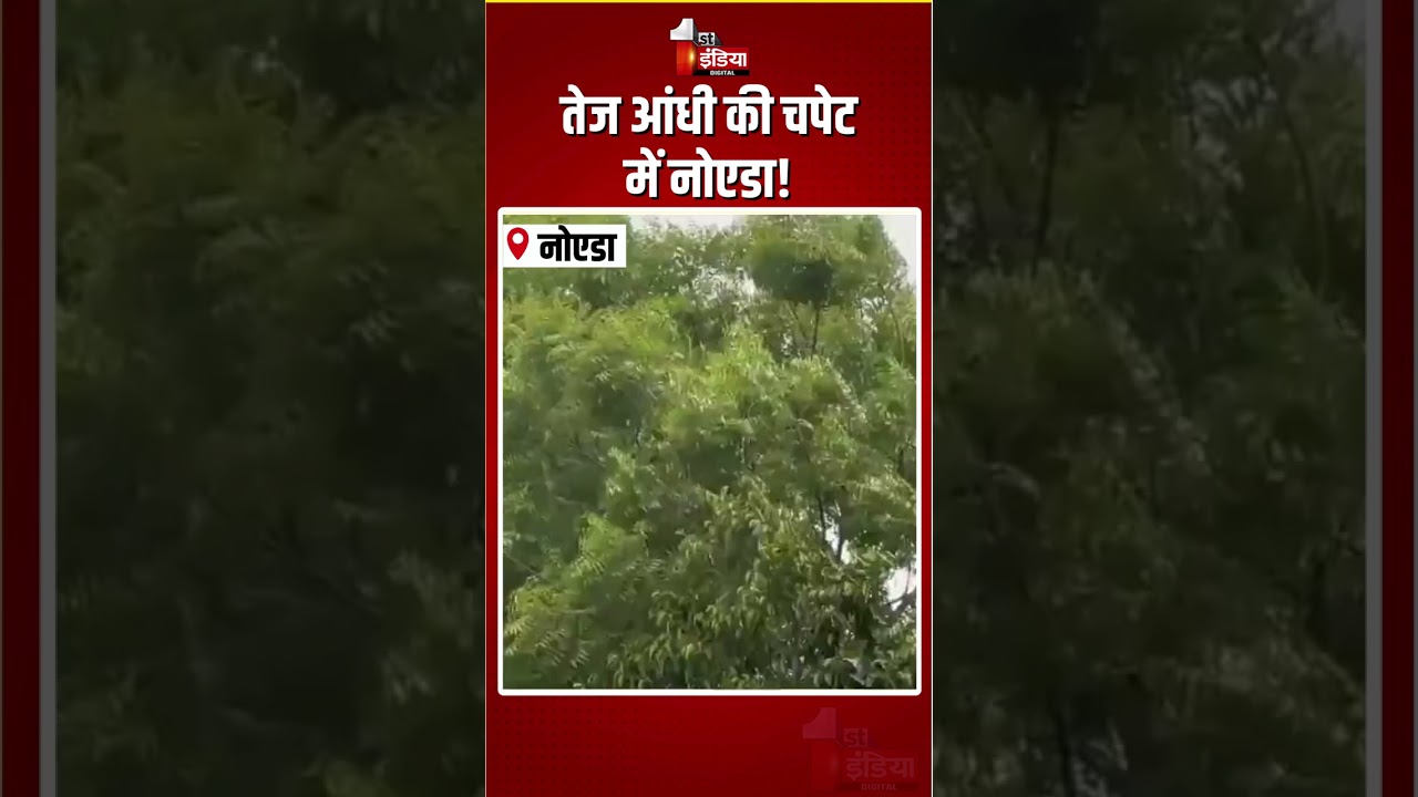 UP Weather Update: तेज आंधी की चपेट में नोएडा! | Wind Lashes In Noida | Thundershowers | Storm
