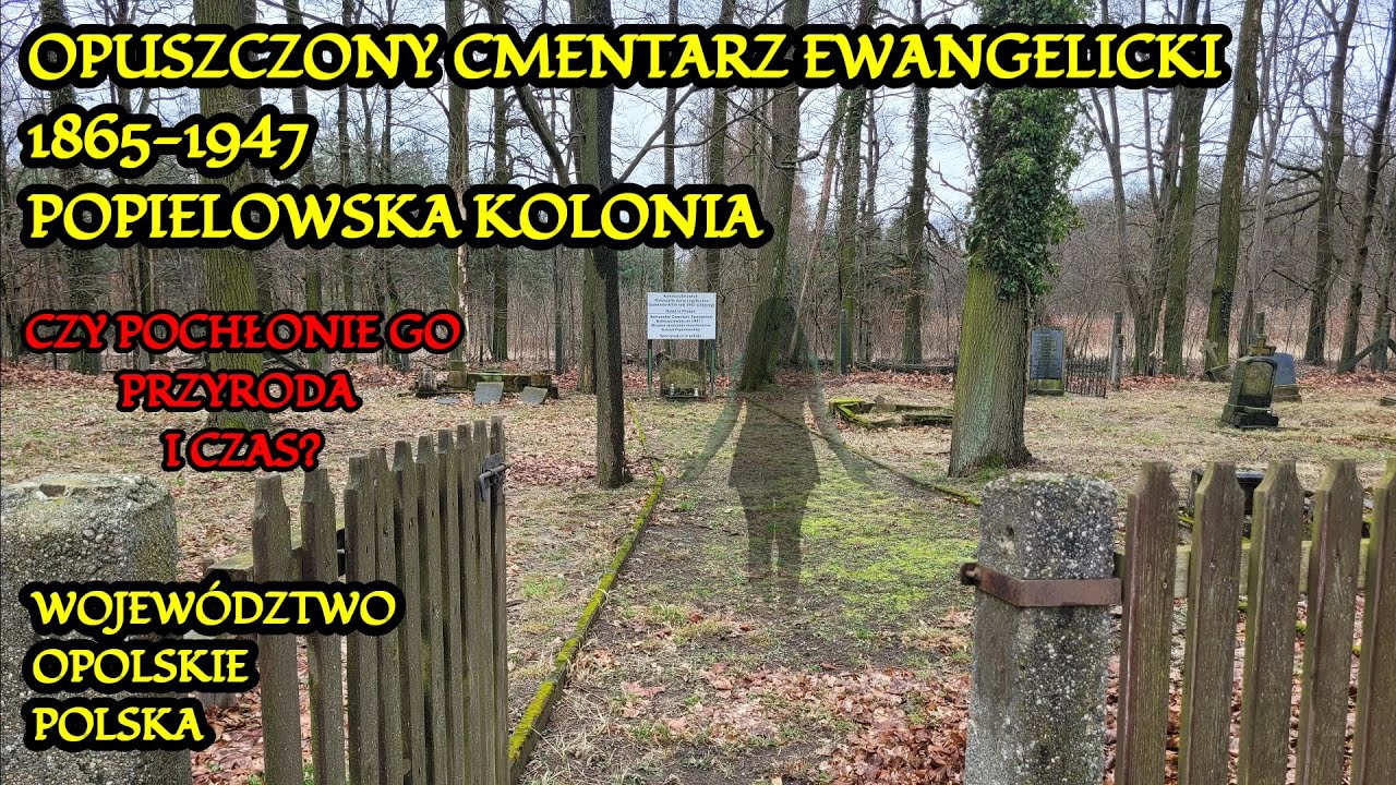 Popielowska Kolonia - Klenk. Zamknięty cmentarz ewangelicki, a wok&oacute;ł szum wiatru i opadające liście