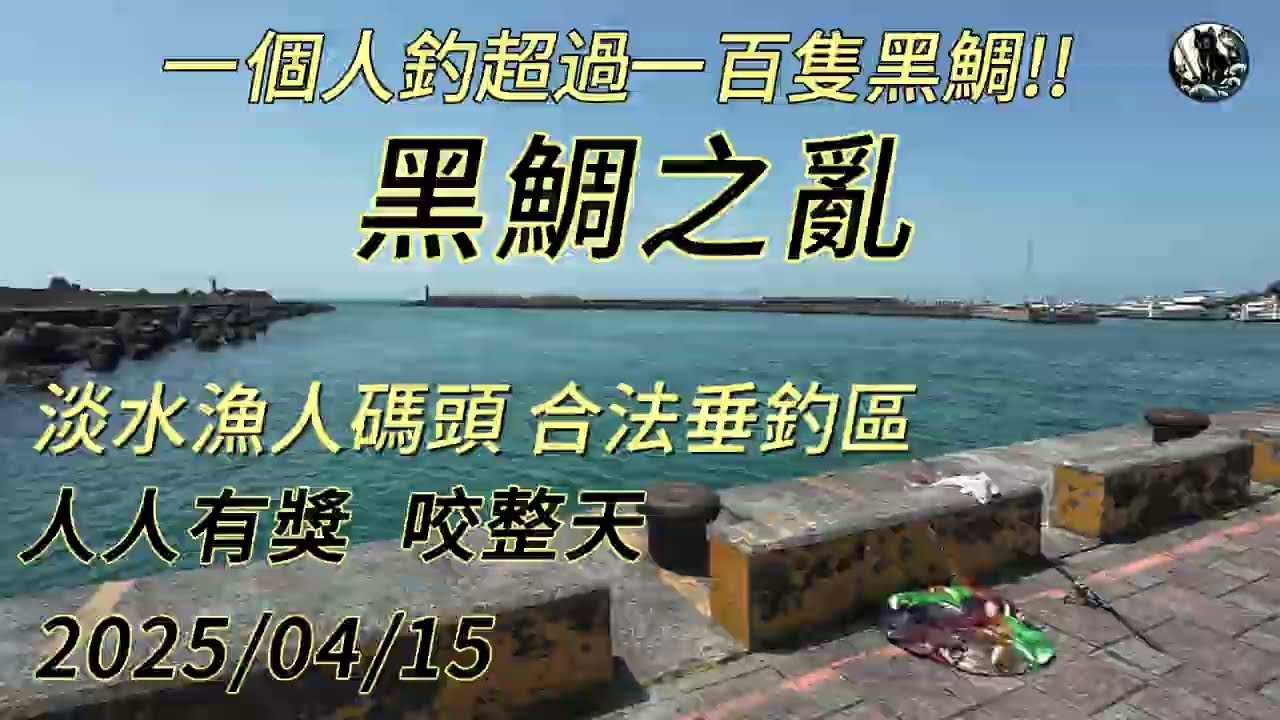 北海岸漁港，黑鯛之亂，一個人釣超過一百隻黑鯛!? 漁港合法垂釣區居然有這麼多黑鯛，北海岸釣點，釣魚，淡水漁人碼頭  #釣魚 #熱門 #黑鯛