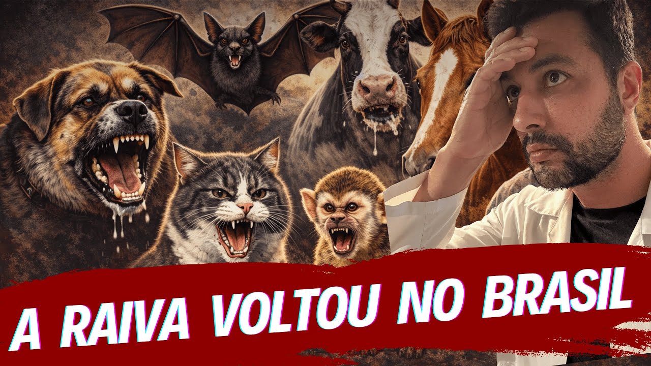 🔴 ALERTA MÁXIMO! Raiva voltou no Brasil e continua sendo 100% fatal!