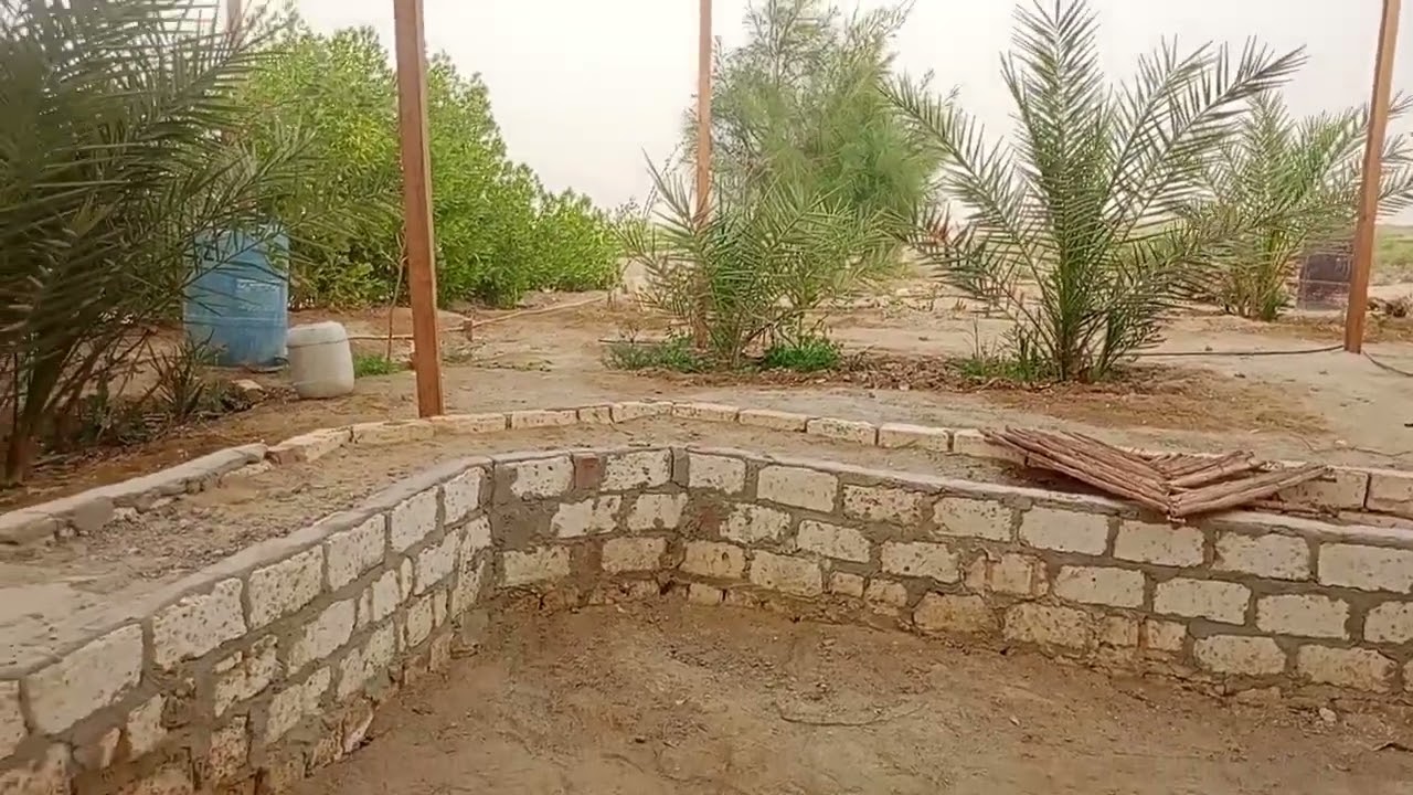 الوادي الجديد الفرافرة قعدة جميلة وشاي ع الراكية ٠١١٢٢٤٧٤١٨٩
