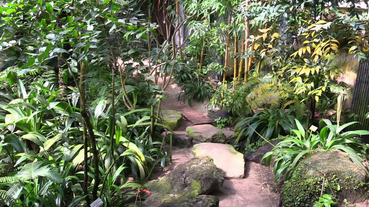 Tropenhaus Botanischer Garten Münster