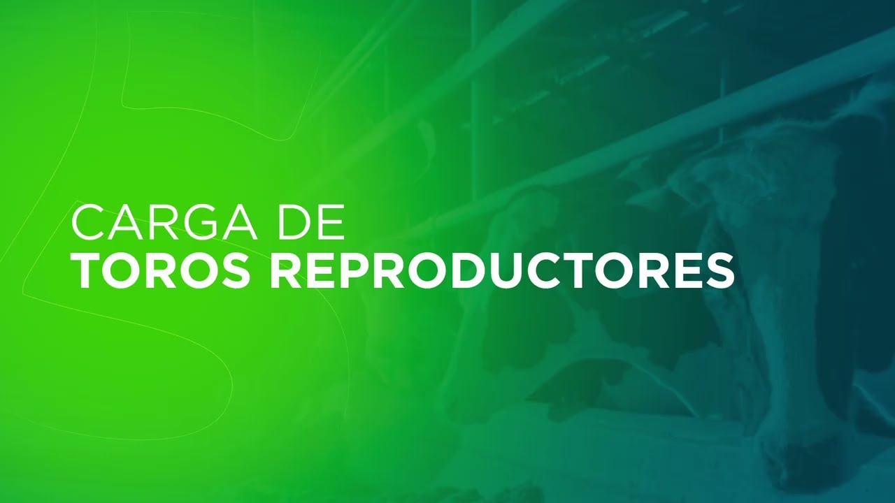 STYNAgro: Configuración de Toros (01)