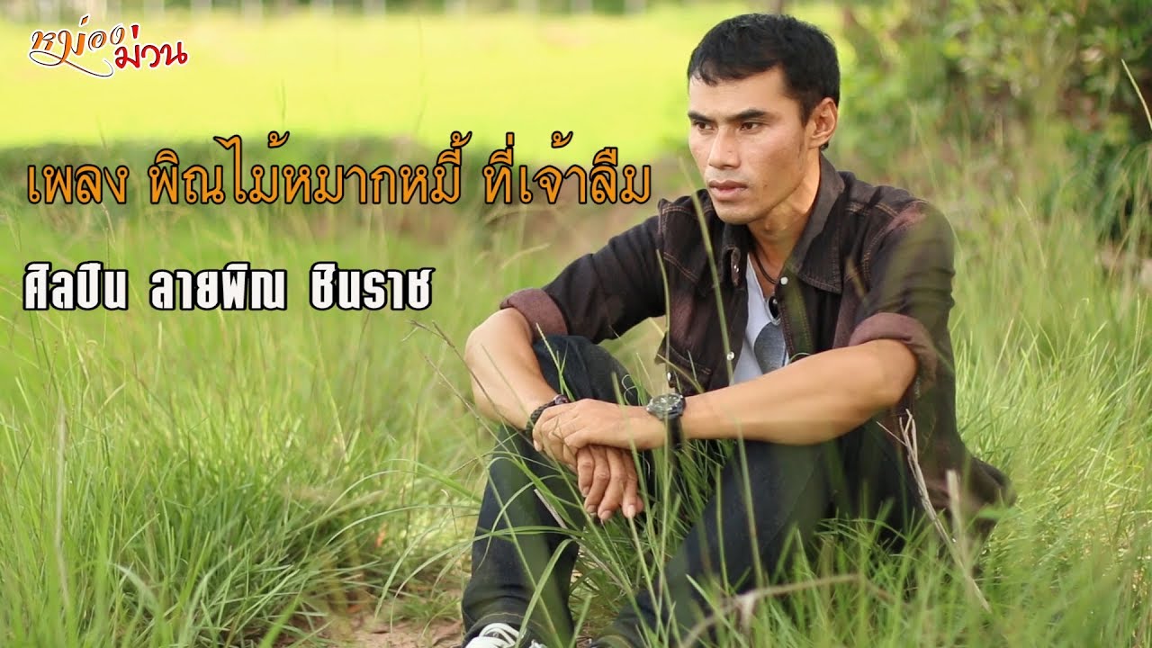พิณไม้หมากหมี้ที่เจ้าลืม [OFFICIAL MV] - ลายพิณ ชินราช
