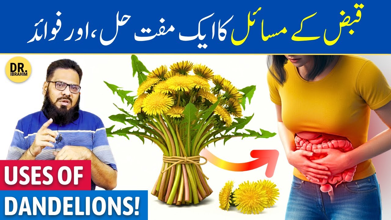 Kakronda Ke Fayde/Istemal | Dandelion Benefits | Sinhaparni | Dr. Ibrahim